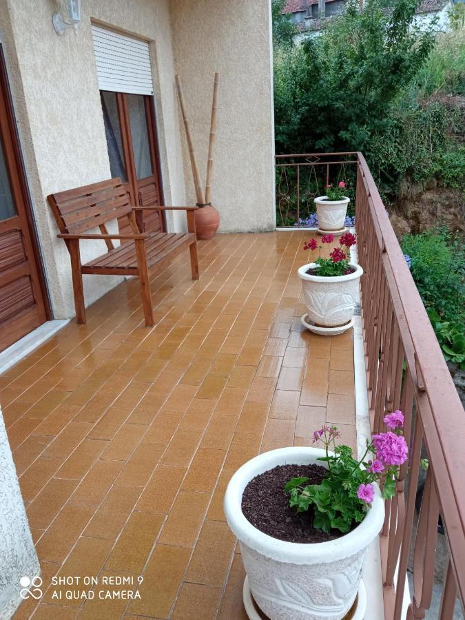 Casa Dos Grilos Penacova Eksteriør billede