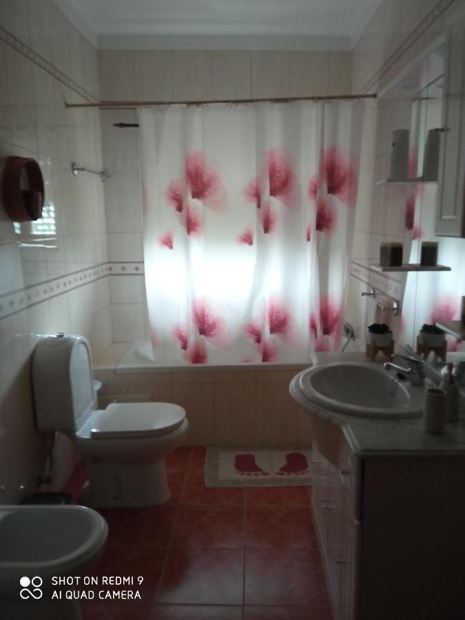 Casa Dos Grilos Penacova Eksteriør billede