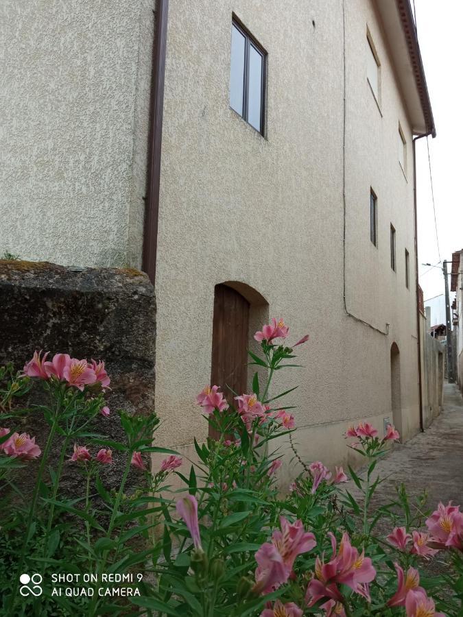Casa Dos Grilos Penacova Eksteriør billede
